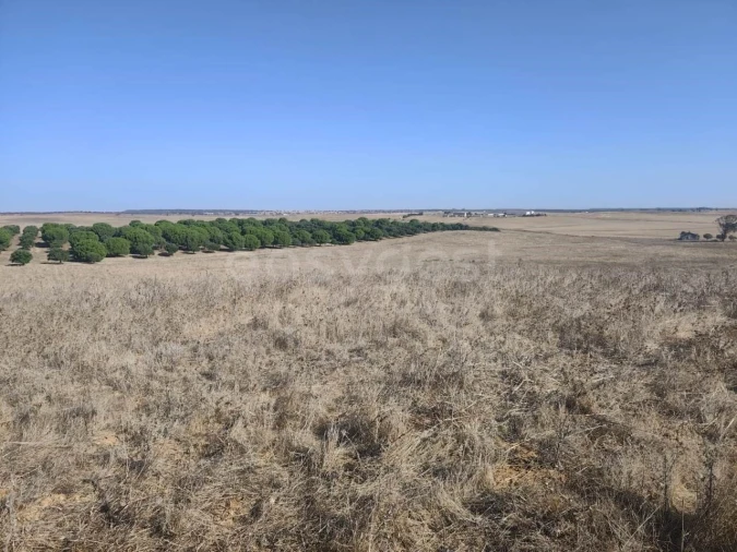 Quinta T1 para Venda em Aljustrel e Rio de Moinhos Foto 20