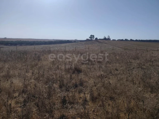 Quinta T1 para Venda em Aljustrel e Rio de Moinhos Foto 21
