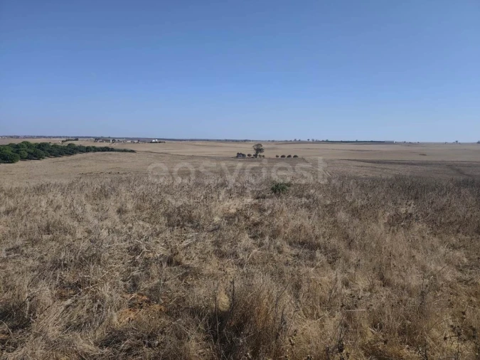 Quinta T1 para Venda em Aljustrel e Rio de Moinhos Foto 22