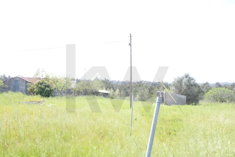 Moradia T4 para Venda em Paião Foto 9