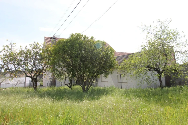 Moradia T4 para Venda em Paião Foto 6