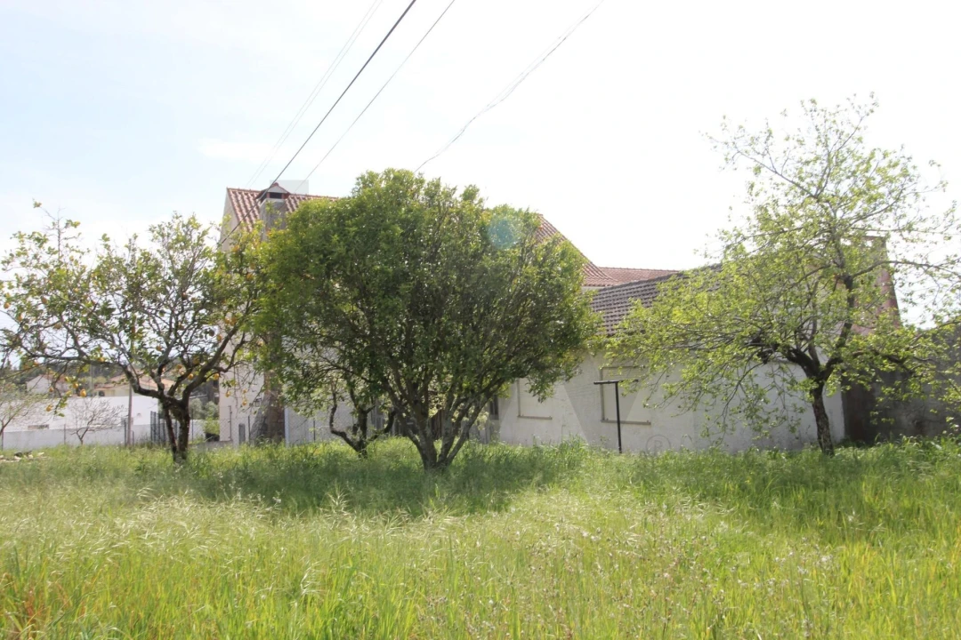 Moradia T4 para Venda em Paião Foto 6