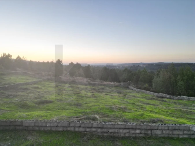 Terreno para Venda em Tavares (Chãs, Várzea e Travanca) Foto 14