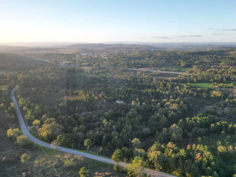 Terreno para Venda em Tavares (Chãs, Várzea e Travanca) Foto 6