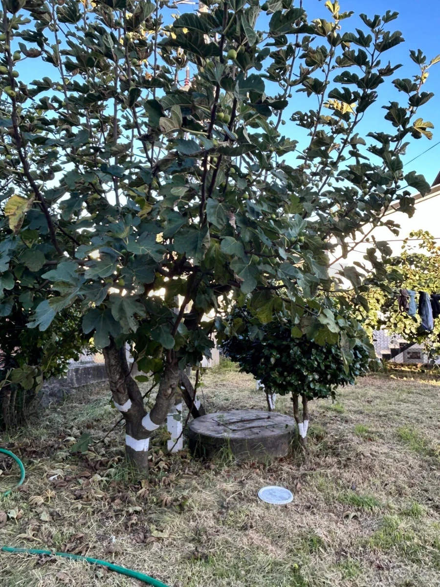 Moradia T4 para Venda em Sanfins Lamoso Codessos Foto 24