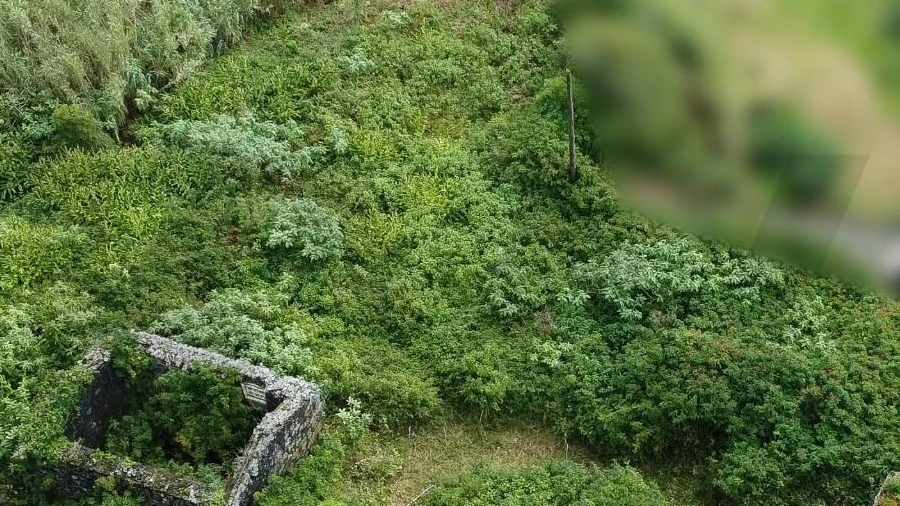 Terreno para Venda em Calheta de Nesquim