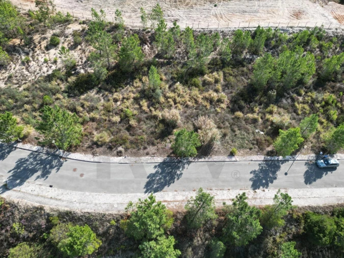 Terreno para Venda em Azambuja Foto 11