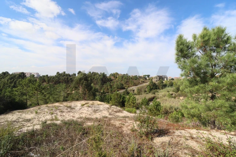 Terreno para Venda em Azambuja Foto 22
