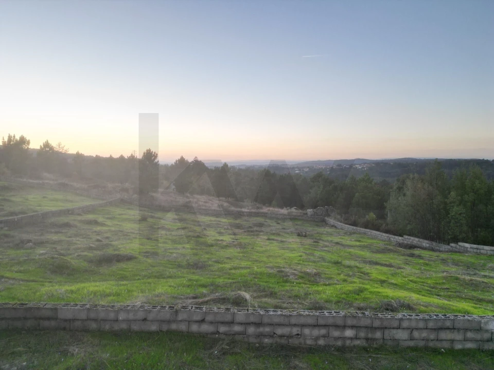 Terreno para Venda em Tavares (Chãs, Várzea e Travanca) Foto 9