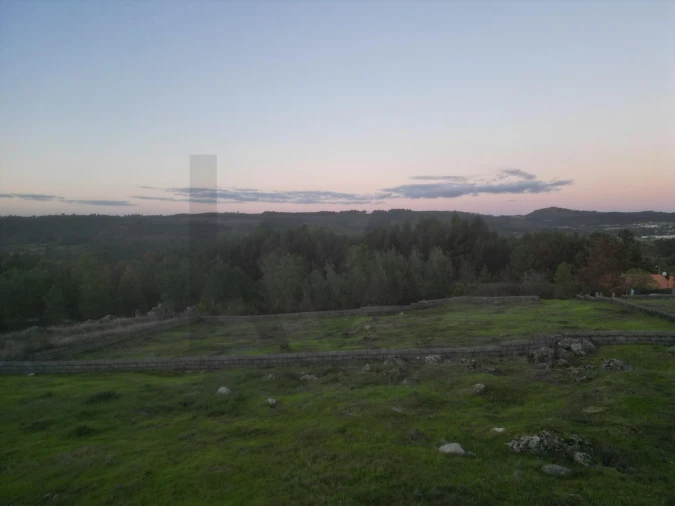 Terreno para Venda em Tavares (Chãs, Várzea e Travanca) Foto 15