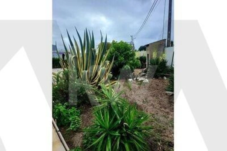 Terreno para Venda em Fernao Ferro Foto 51