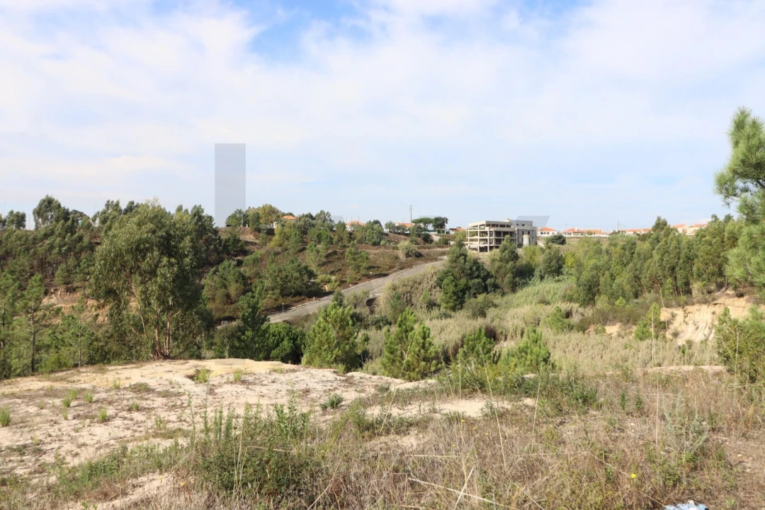 Terreno para Venda em Azambuja Foto 19