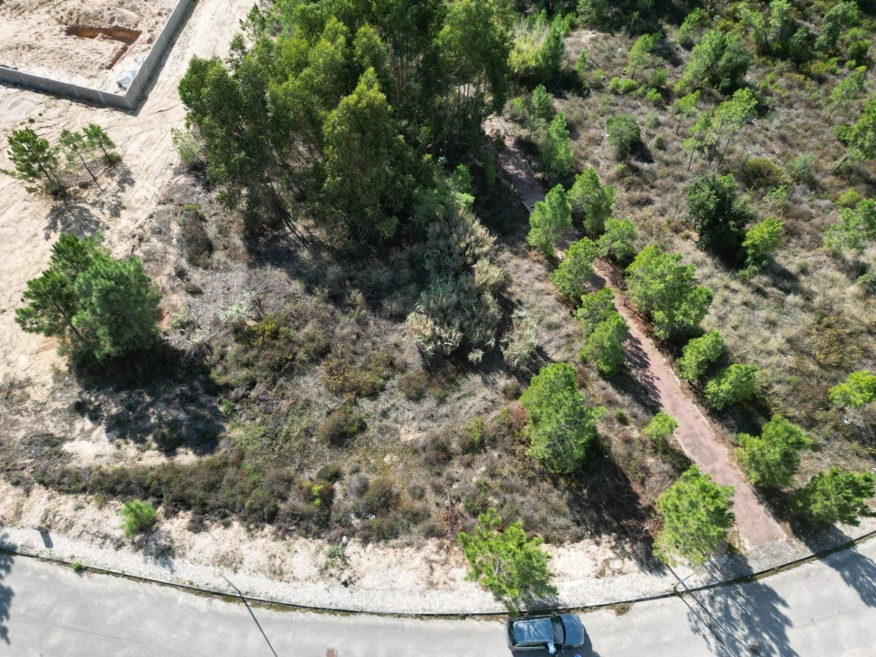 Terreno para Venda em Azambuja Foto 18