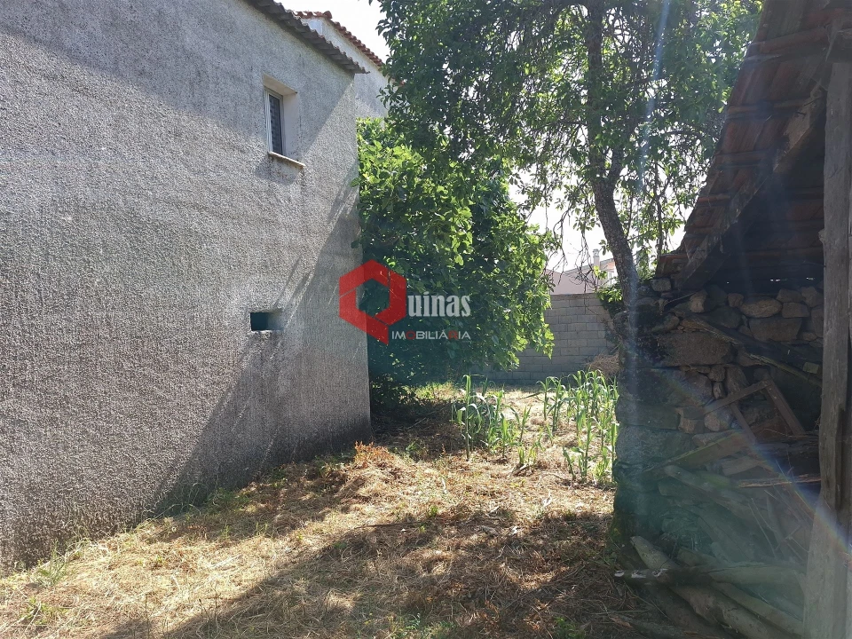 Moradia T1 para Arrendamento em Baraçal Foto 35