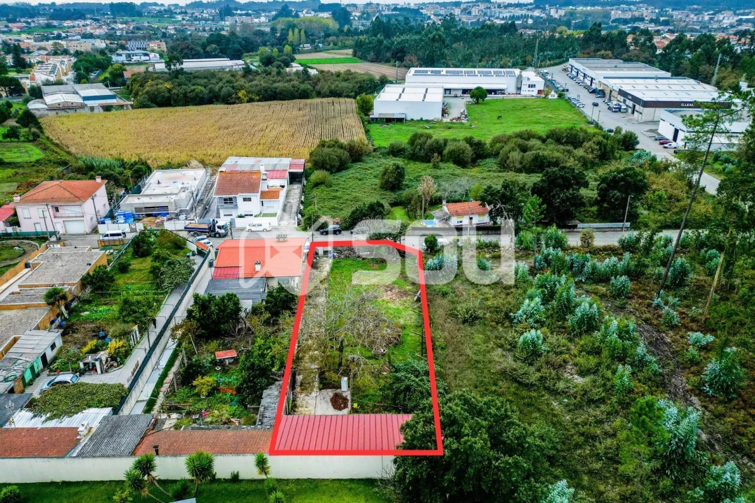 Terreno para Venda em Nogueira e Silva Escura Foto 4