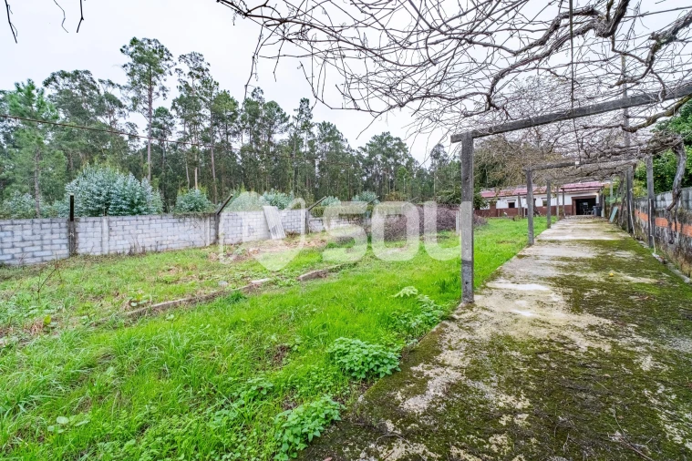 Terreno para Venda em Nogueira e Silva Escura Foto 11