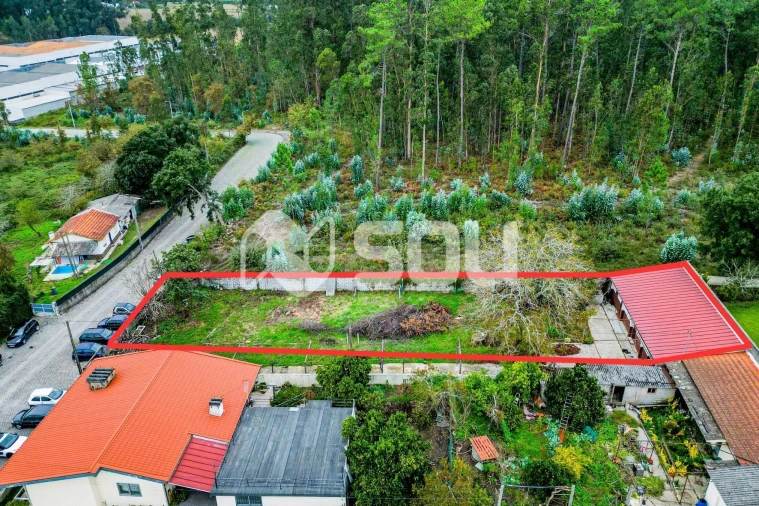 Terreno para Venda em Nogueira e Silva Escura Foto 2