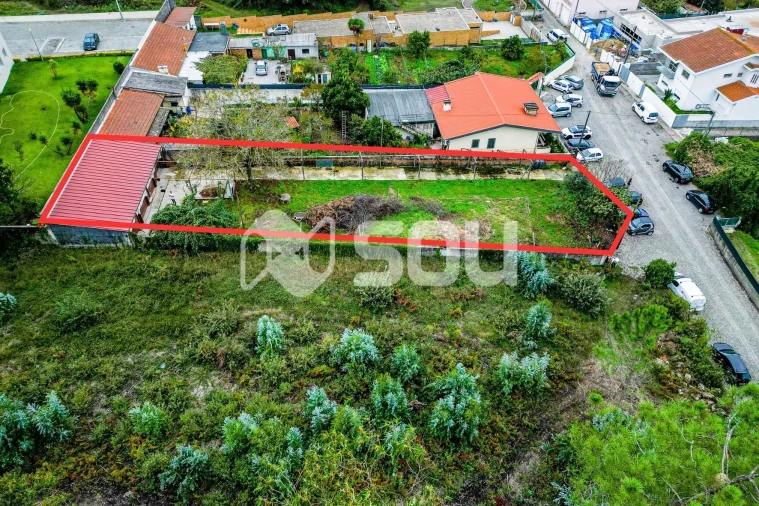 Terreno para Venda em Nogueira e Silva Escura Foto 3