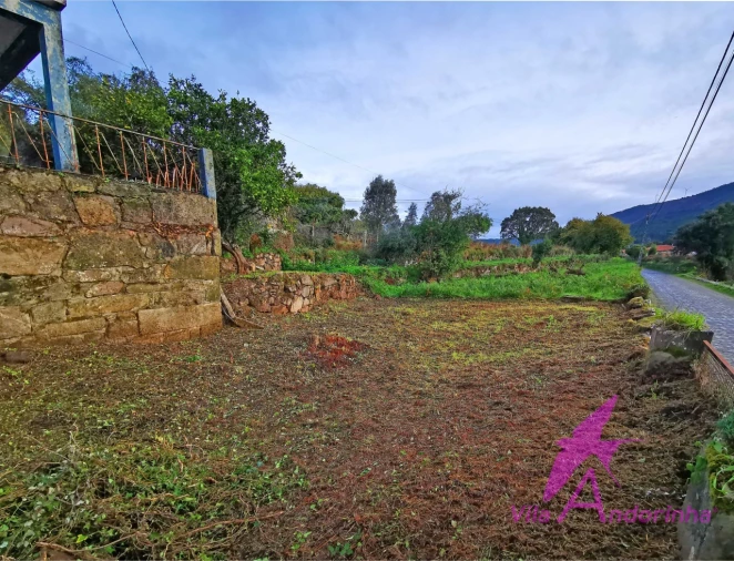 Moradia T3 para Venda em Riba de Ancora Foto 16