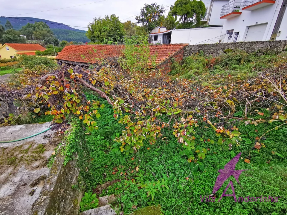 Terreno para Venda em Riba de Ancora Foto 8