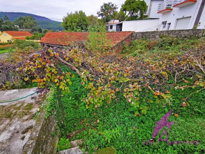 Terreno para Venda em Riba de Ancora Foto 8