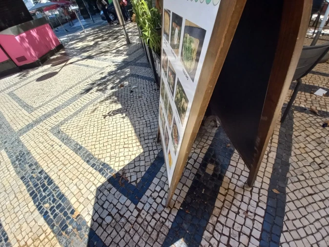 Loja para Trespasse em Avenidas Novas Foto 31