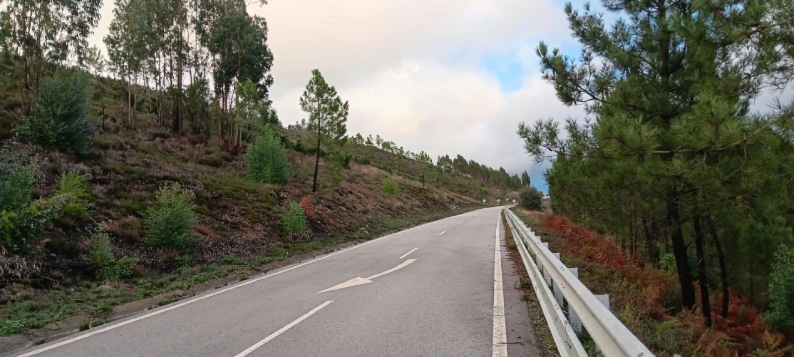 Terreno Agricola ou Rústico para Venda em Carvoeiro Foto 5