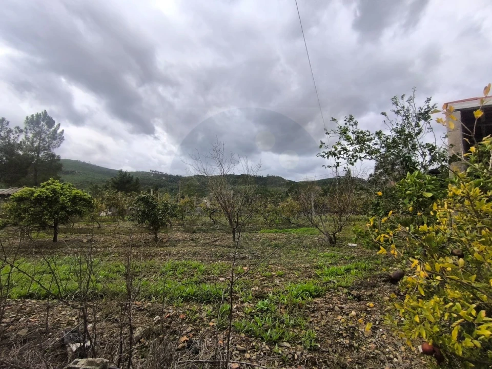 Moradia T3 para Venda em Envendos Foto 18