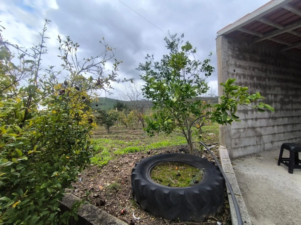 Moradia T3 para Venda em Envendos Foto 22