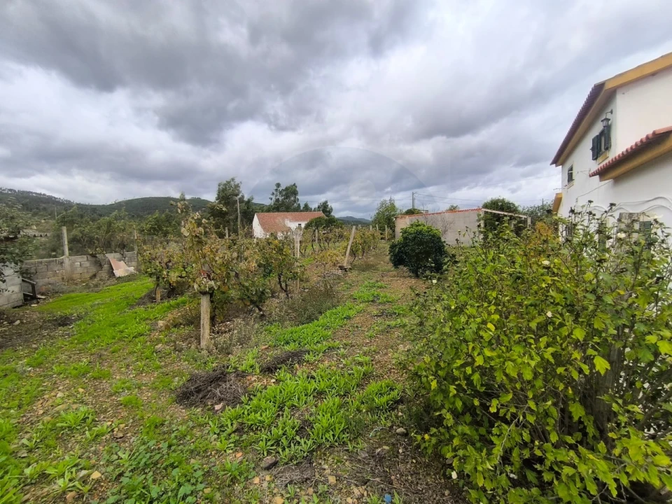 Moradia T3 para Venda em Envendos Foto 29