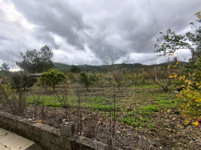 Moradia T3 para Venda em Envendos Foto 20