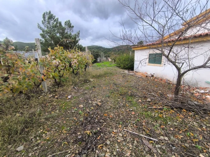 Moradia T3 para Venda em Envendos Foto 28