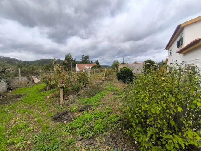 Moradia T3 para Venda em Envendos Foto 29