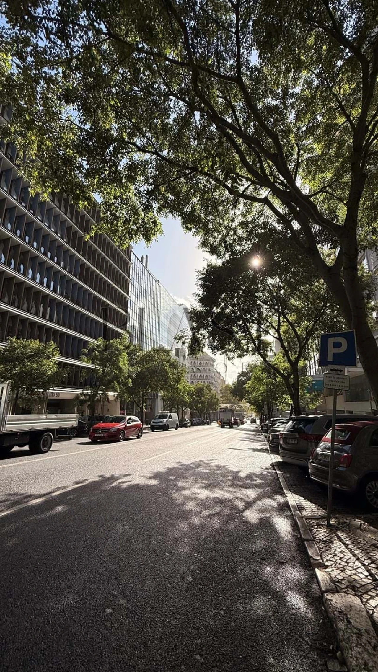 Negócio para Arrendamento em Santo António Foto 2