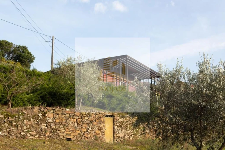 Quinta T10 para Venda em Sandomil Foto 29