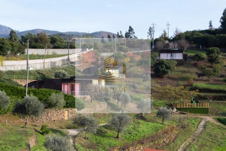 Quinta T10 para Venda em Sandomil Foto 1