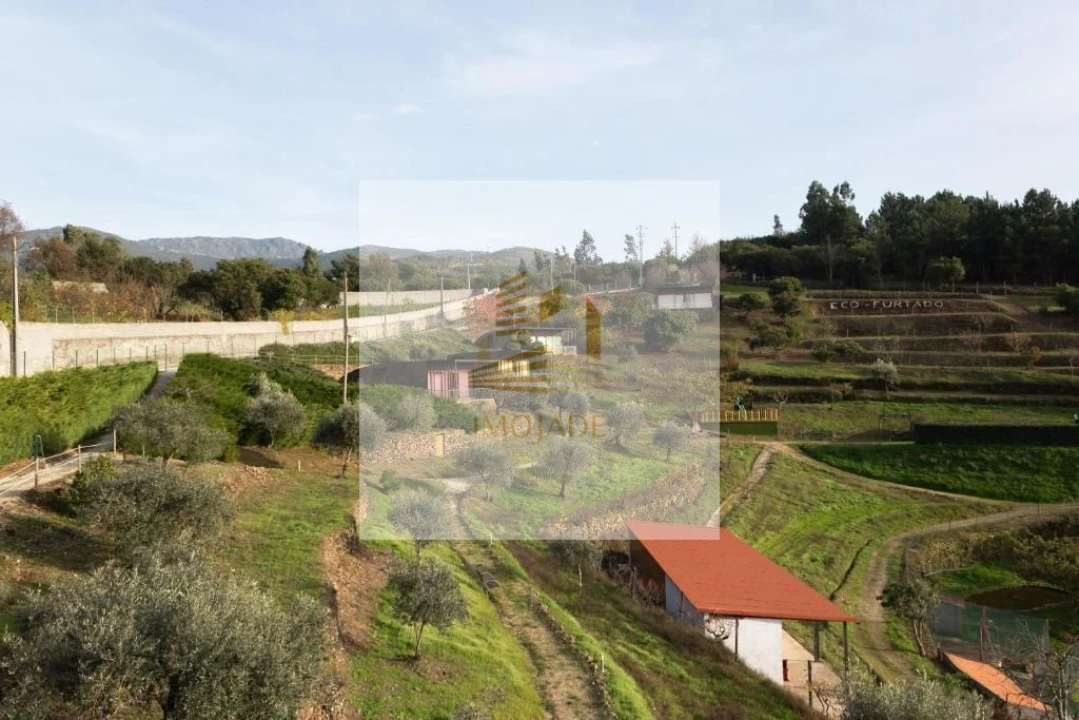 Quinta T10 para Venda em Sandomil Foto 10