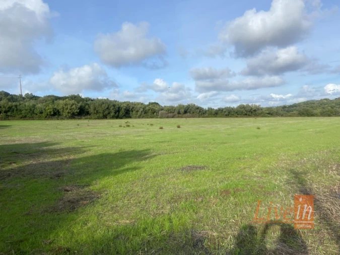 Terreno Agricola ou Rústico para Venda em Almargem do Bispo, Pêro Pinheiro e Montelavar Foto 1