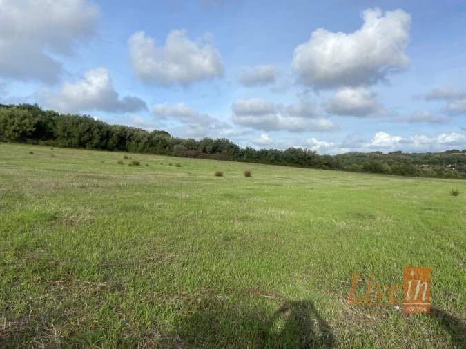 Terreno Agricola ou Rústico para Venda em Almargem do Bispo, Pêro Pinheiro e Montelavar Foto 4