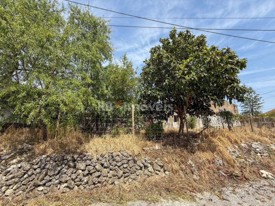 Moradia para Venda em Torres Novas (São Pedro), Lapas e Ribeira Branca Foto 10