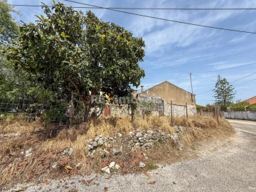 Moradia para Venda em Torres Novas (São Pedro), Lapas e Ribeira Branca