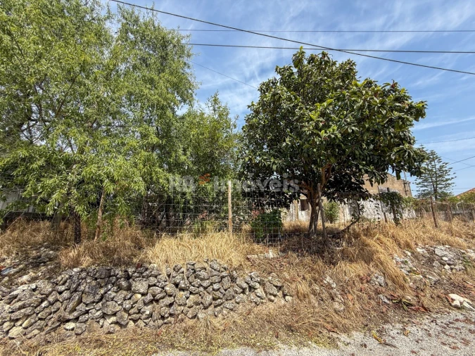 Moradia para Venda em Torres Novas (São Pedro), Lapas e Ribeira Branca Foto 10