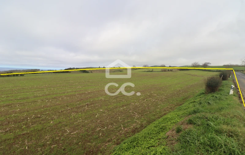 Terreno para Venda em Relva Foto 4