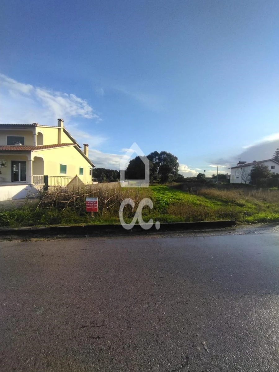 Terreno para Venda em Monte Real e Carvide Foto 11