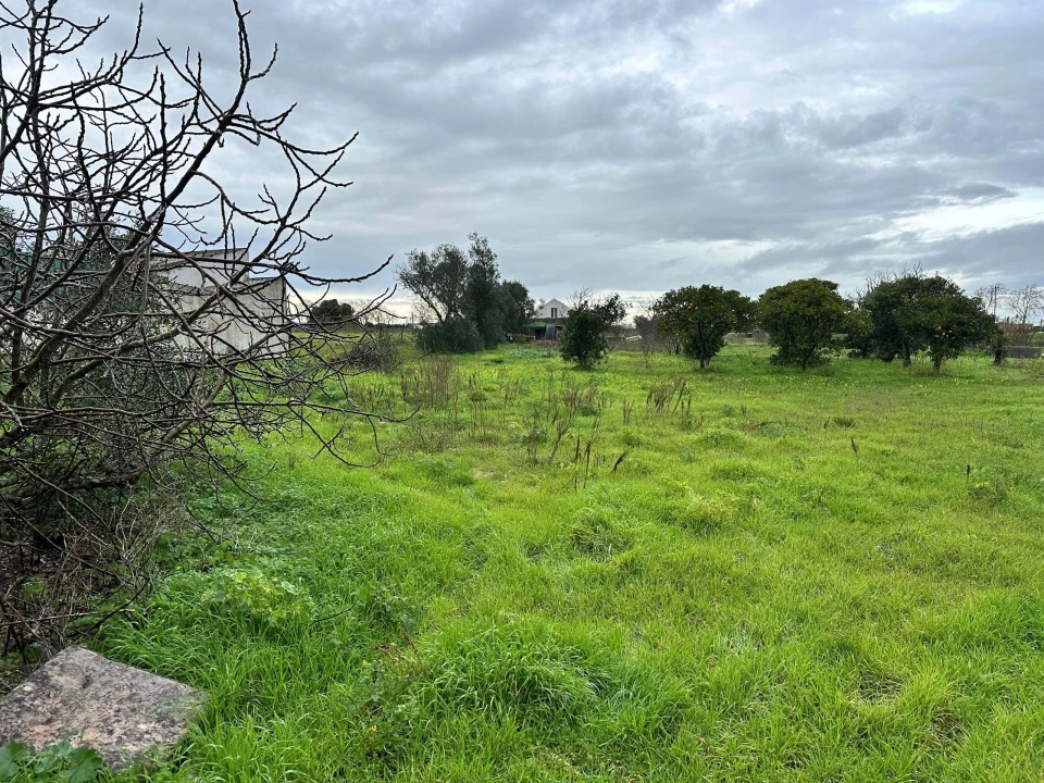 Terreno para Venda em Atalaia e Alto Estanqueiro-Jardia Foto 4