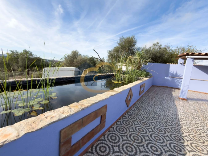 Moradia T4 para Venda em São Bartolomeu de Messines Foto 30