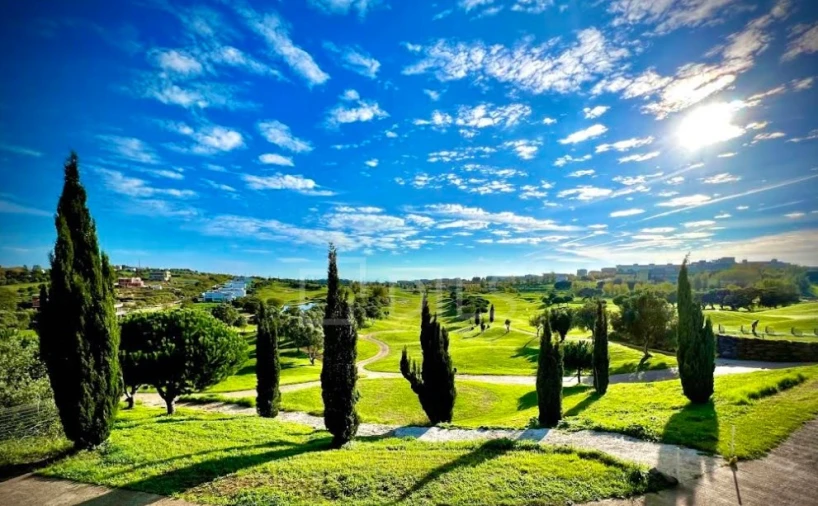Terreno para Venda em Barcarena Foto 4