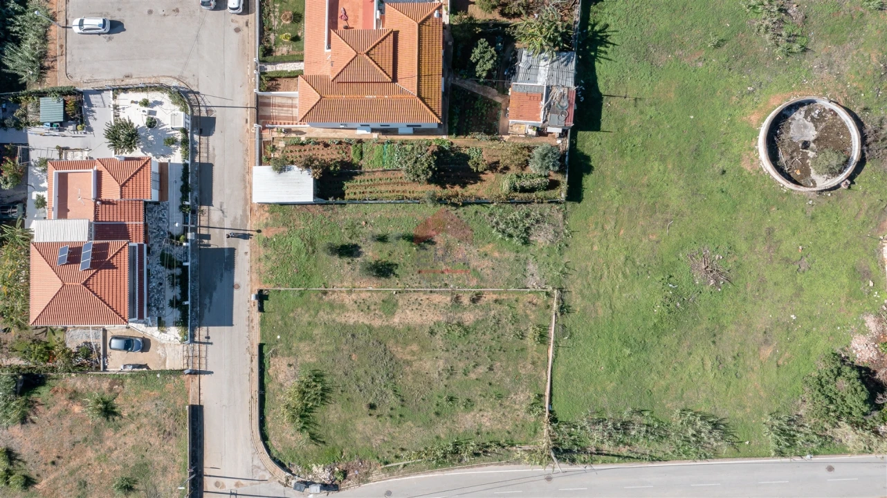 Terreno para Venda em Altura Foto 6