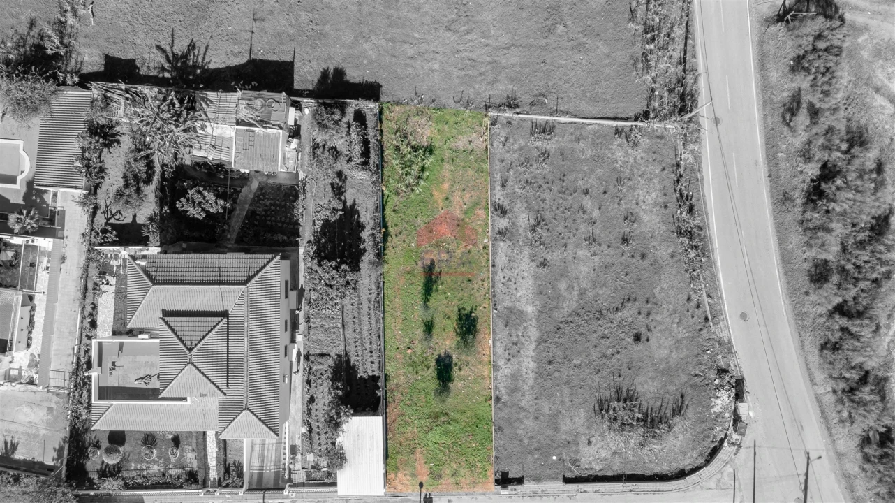 Terreno para Venda em Altura Foto 5