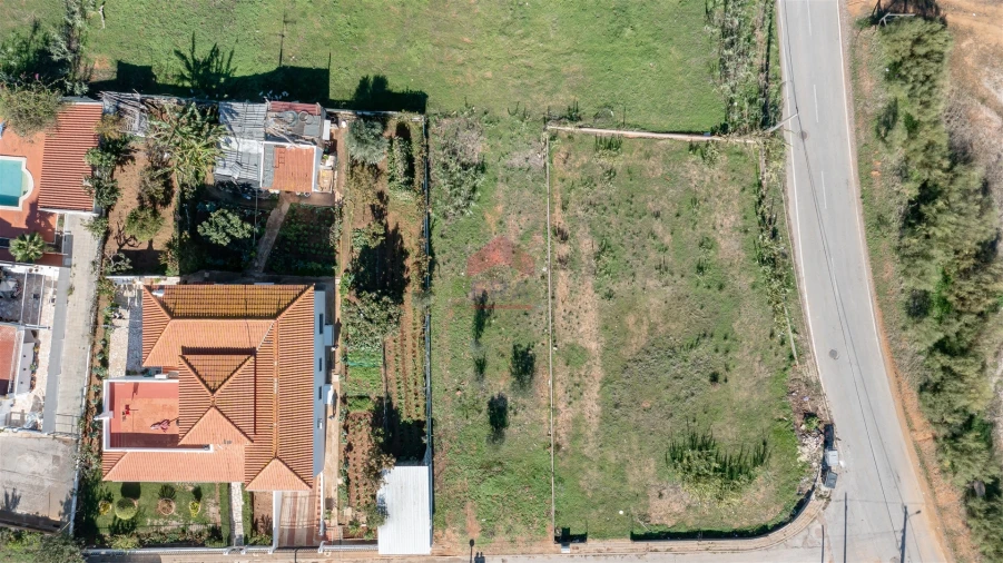 Terreno para Venda em Altura Foto 4